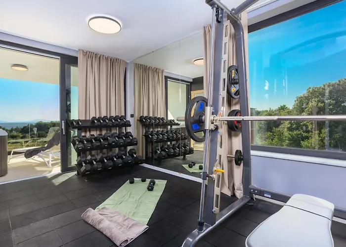 Deluxe With Heated Pool, Whirpool, Sea View Near Beautiful Iii - By Traveler Tourist Agency Krk Id 2402 Villa Krk Town